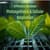 Difference Between Photosynthesis and Cellular Respiration: Types, Transformation, Comparison, Chart